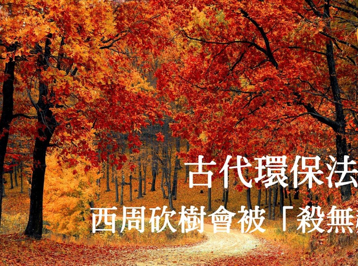 古代環保法令相當嚴苛