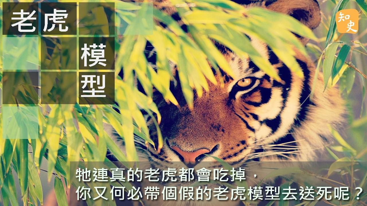 7.08老虎模型｜ 講古佬