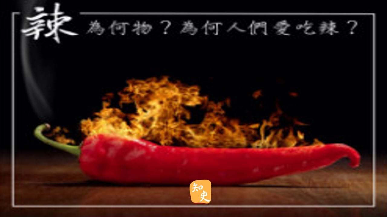 18.04 辣為何物？為何人們愛吃辣？｜辣為何物