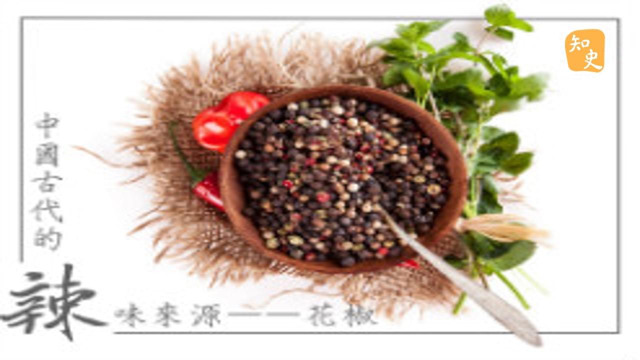 18.09 中國古代的辣味來源——花椒｜辣為何物
