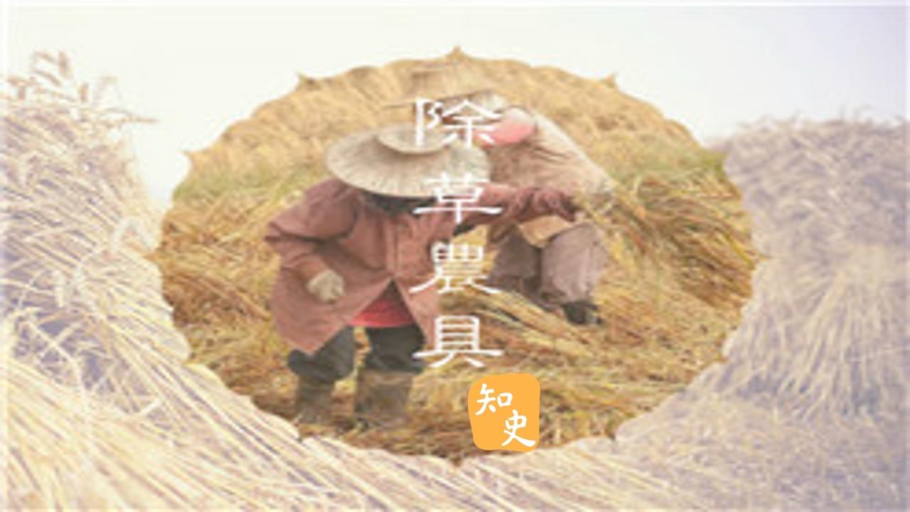 9.12 除草，不一定要用人手拔的｜五穀豐登
