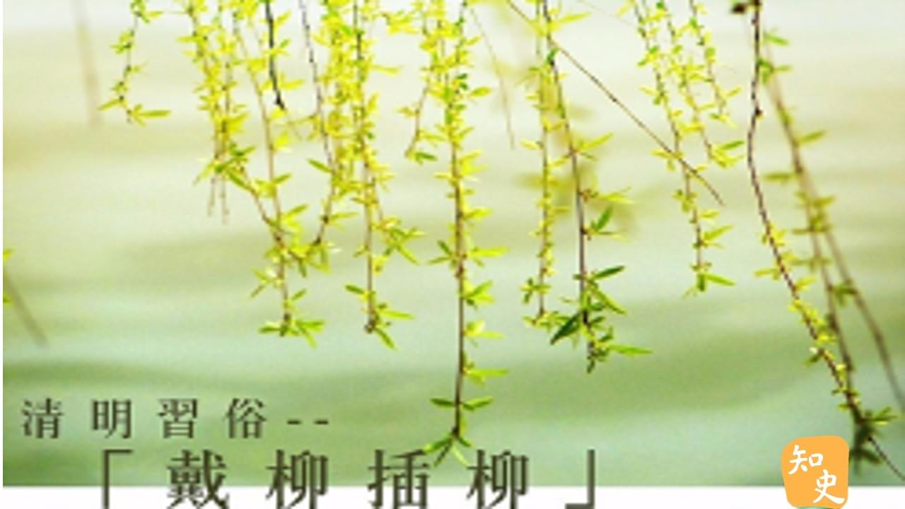 14.09 清明習俗-「戴柳插柳」｜細說清明