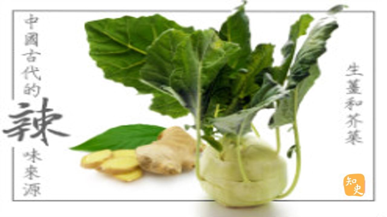 18.10 中國古代的辣味來源——生薑和芥菜｜辣為何物