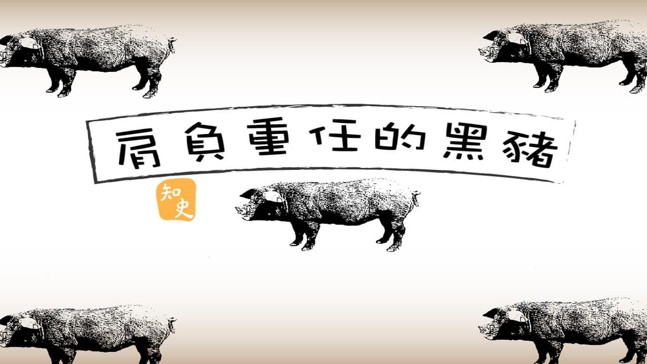 肩負重任的黑豬｜宋人市井