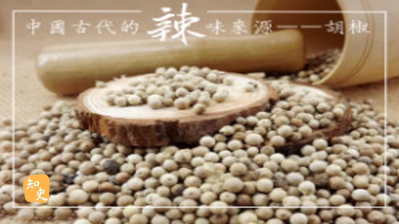 18.11 中國古代的辣味來源——胡椒｜辣為何物