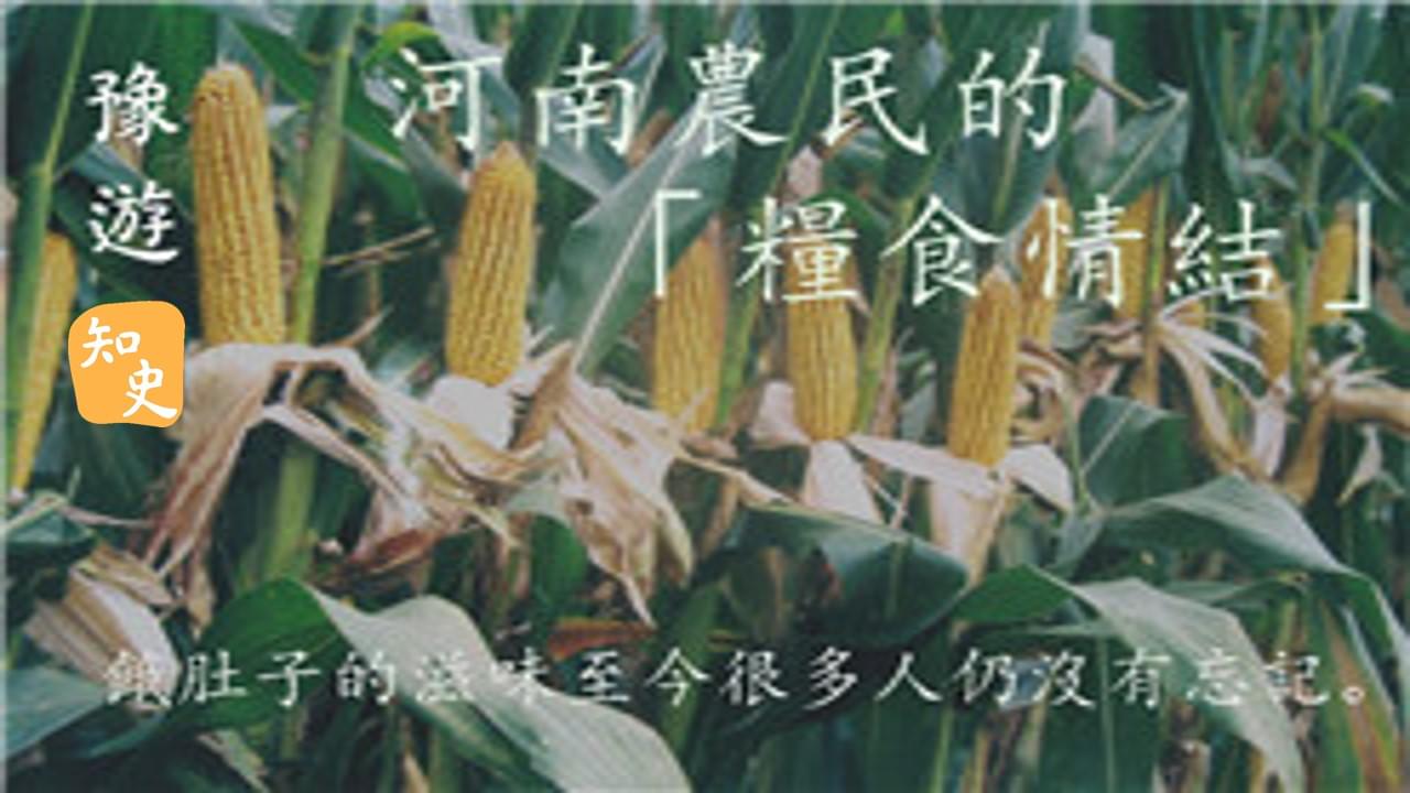 8.14 河南農民的「糧食情結」｜豫遊中原
