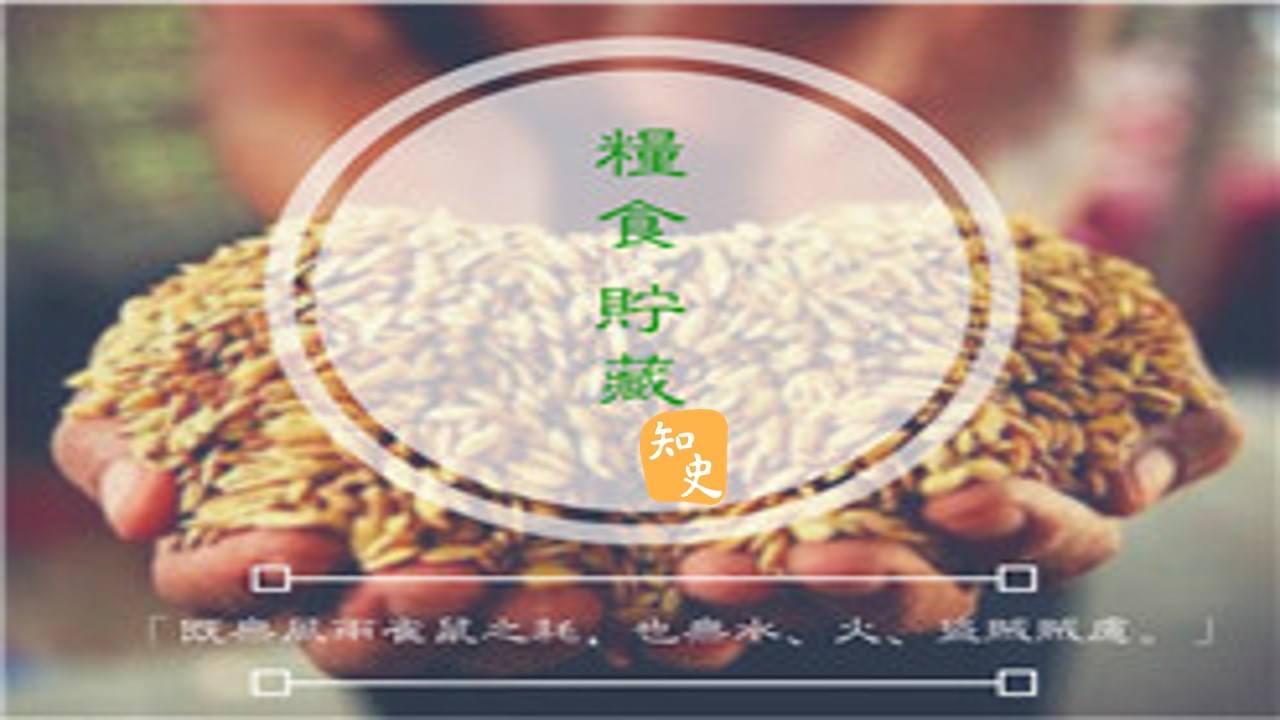 9.20 糧食貯藏｜五穀豐登