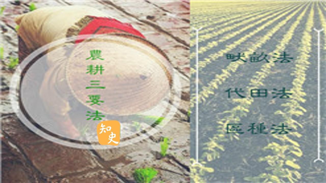 9.22 抗旱、排澇、增產｜五穀豐登