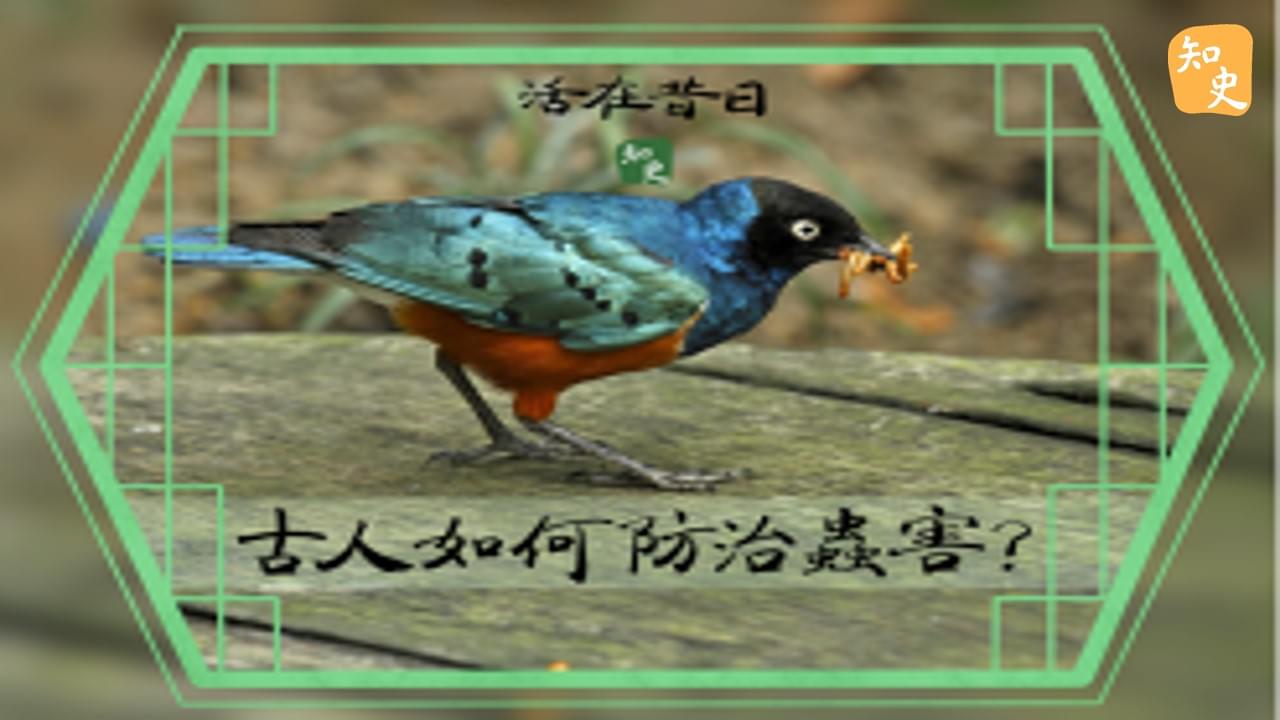 17.21 古人如何防治蟲害? ｜活在昔日
