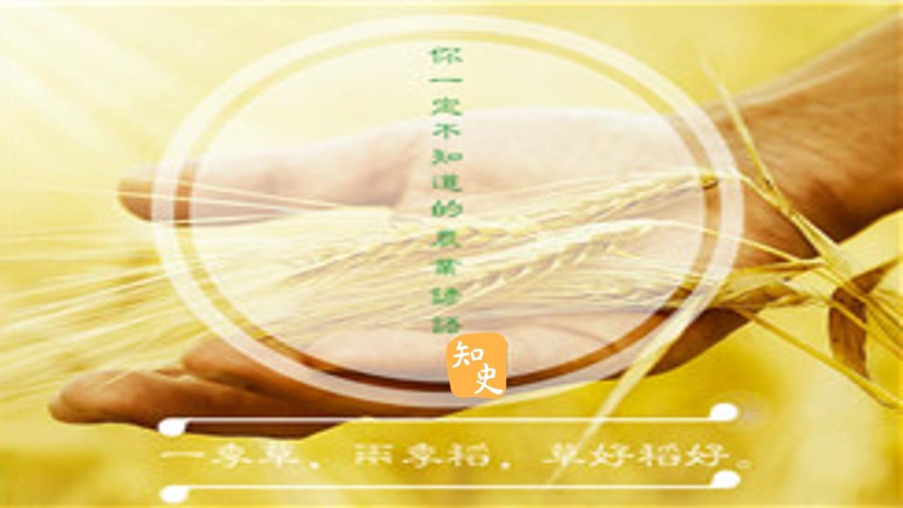 9.27 因地制宜的農業景觀｜五穀豐登