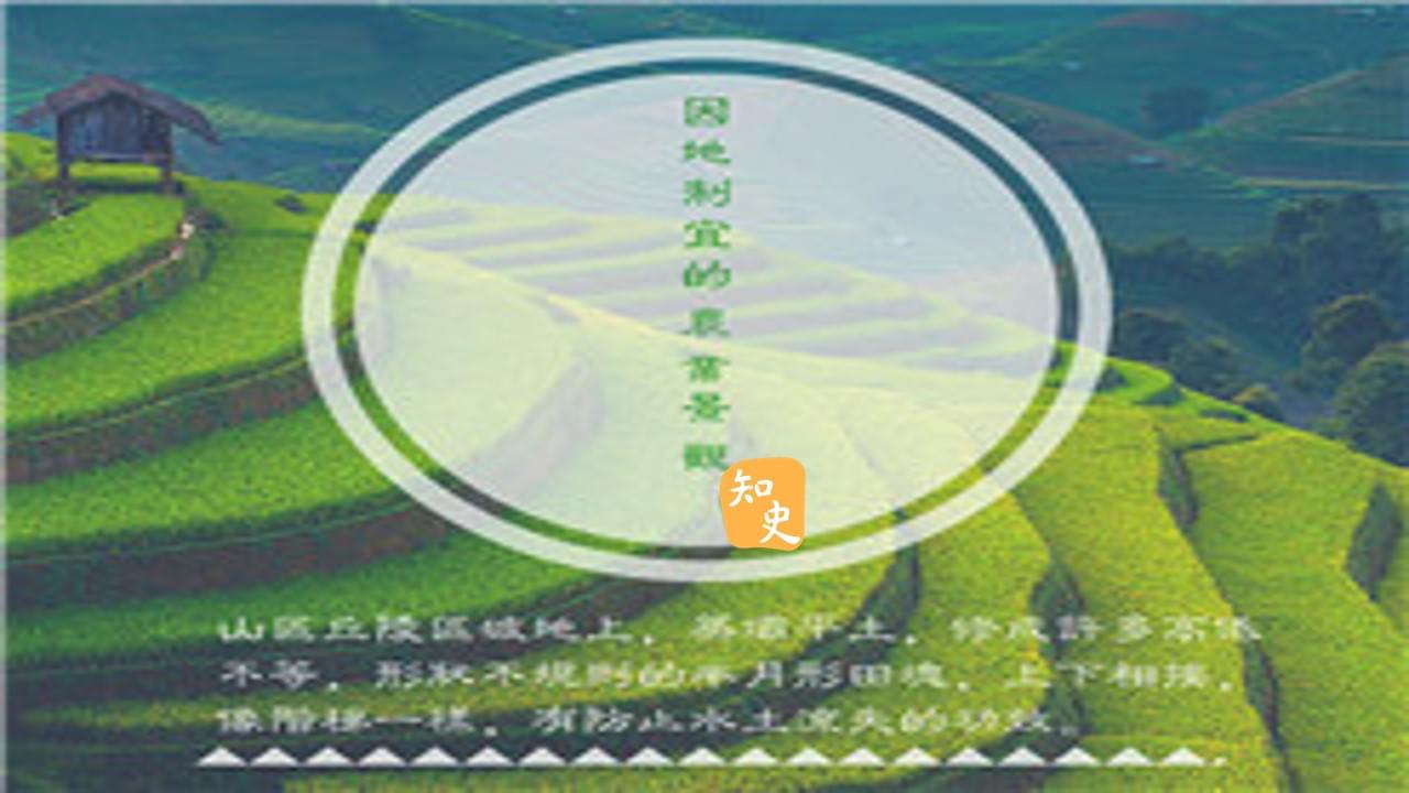 9.28 有哪些農業諺語？｜五穀豐登