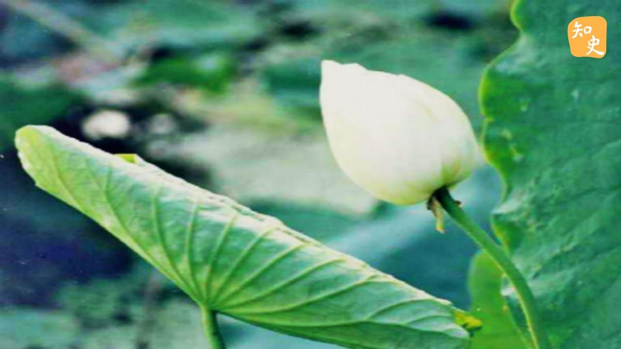 「要留清白在人間」的于謙為什麼受後人尊敬？