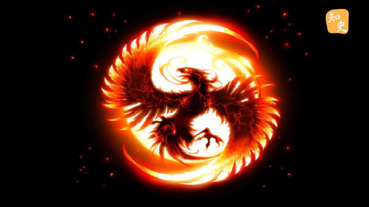 「鳳凰」是雌的還是雄的？