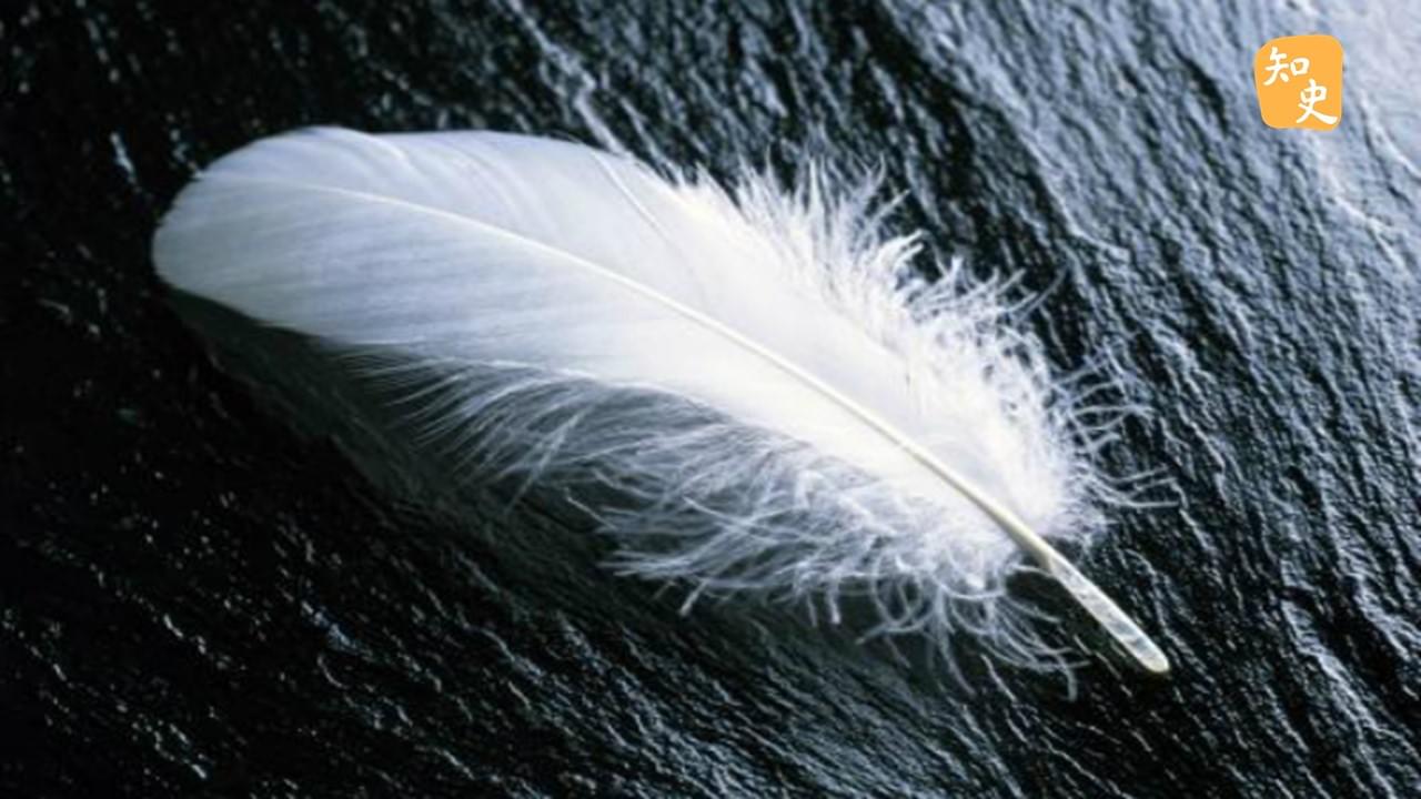 古代傳遞軍情的文書上為什麼常插上羽毛？