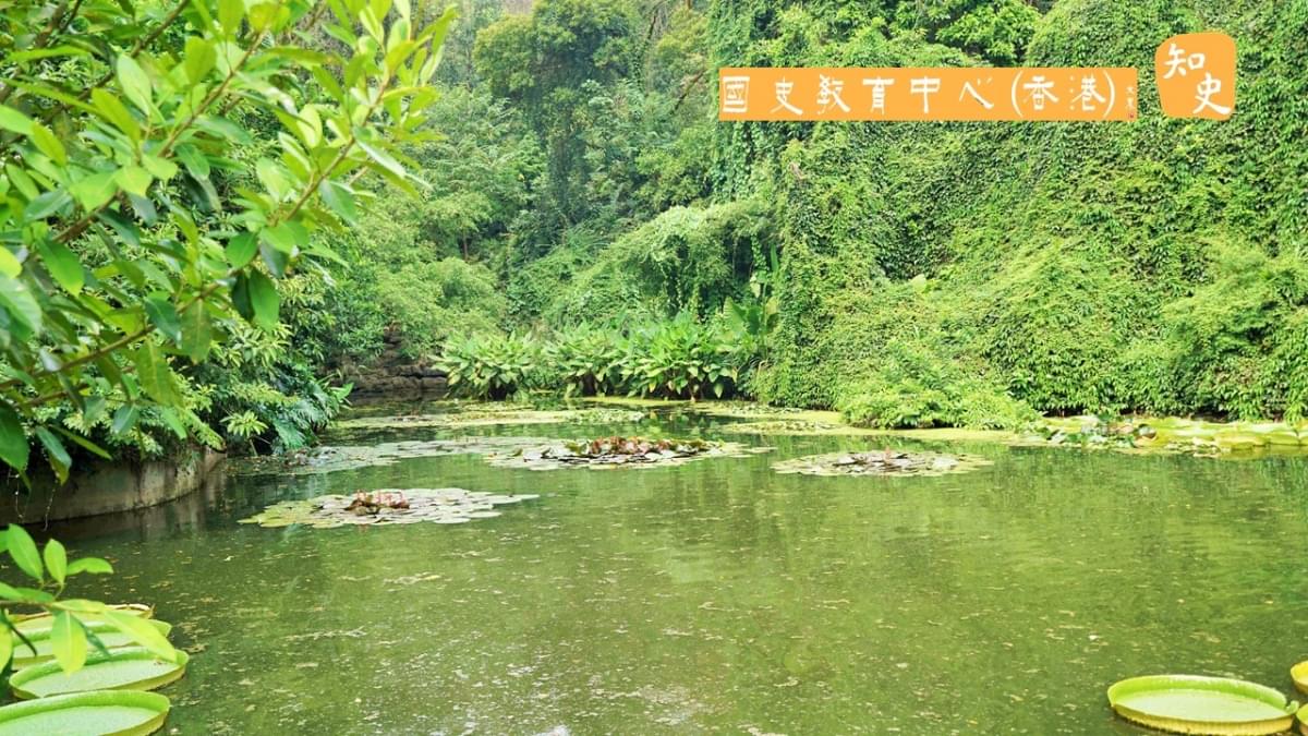 香港在泛北部灣經濟發展區機遇與局限