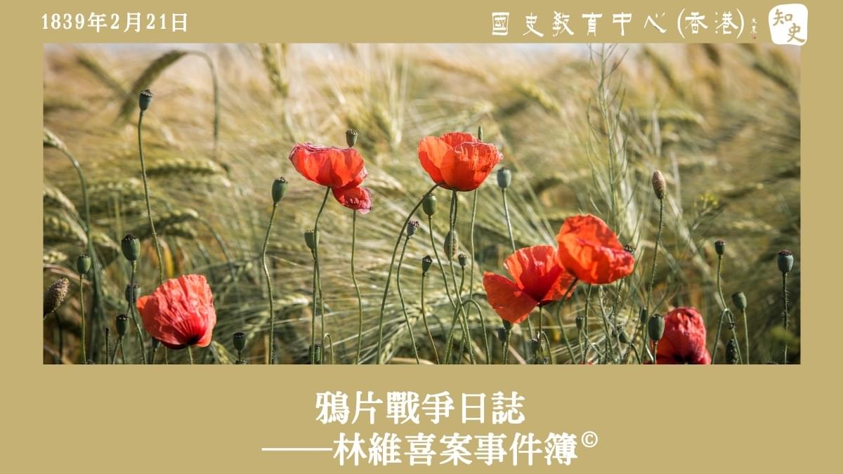 【1839年2月21日】鴉片戰爭日誌——林維喜案事件簿