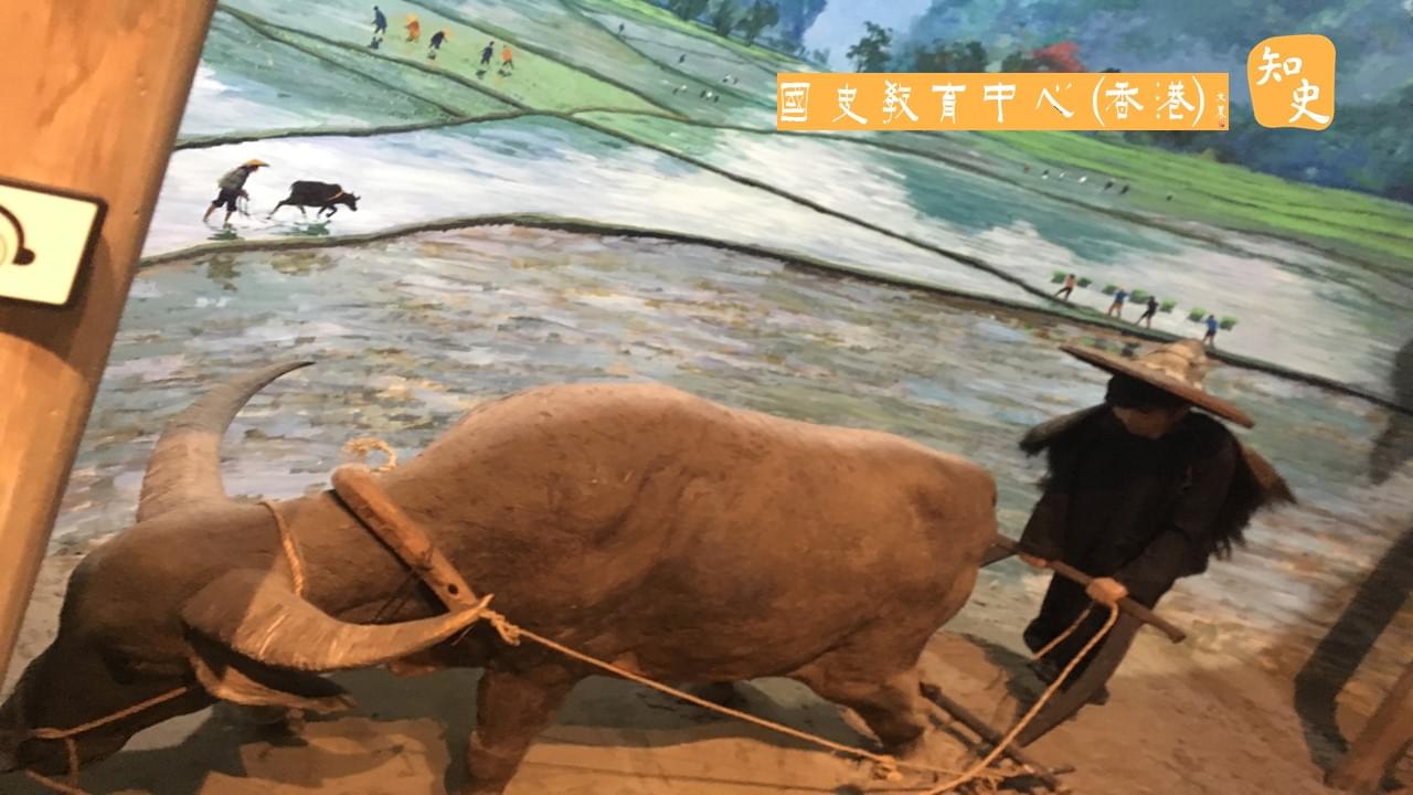 柬埔寨的歷史文化與經濟發展