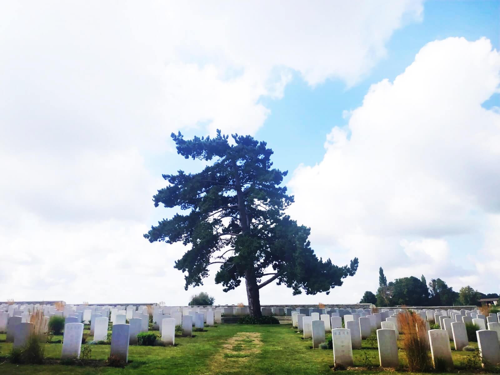 王惠嵐 德望學校 05e